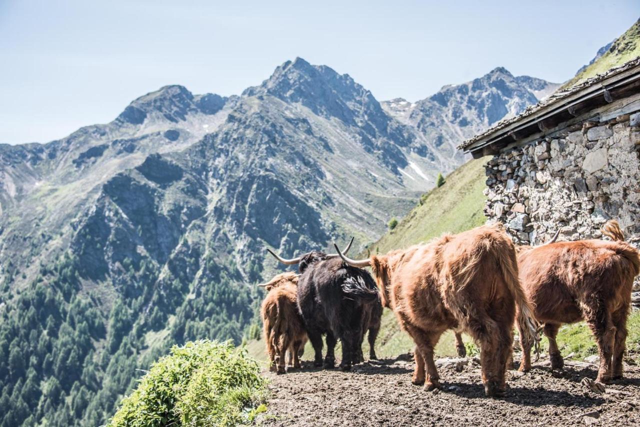 Archehof Hochzirm Lodge Anton كامبو توريس المظهر الخارجي الصورة